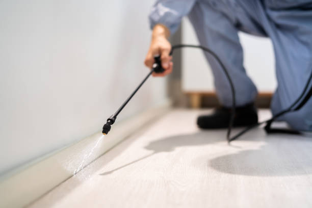Licensed Termite Control service in Ivanhoe, CA - Nex Pest Control