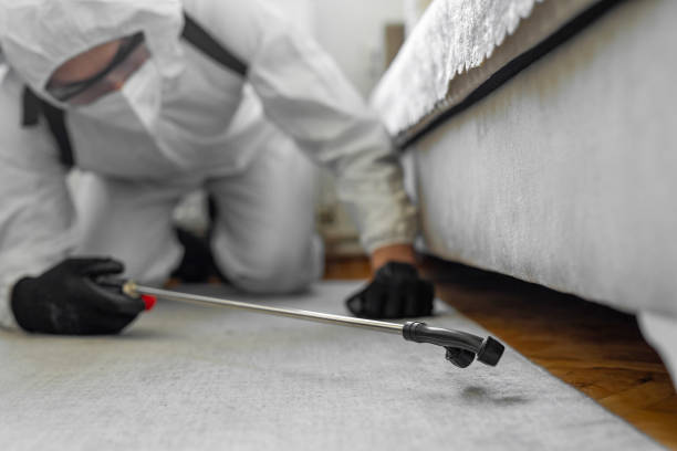 Professional Termite Control technician working in Ivanhoe, CA