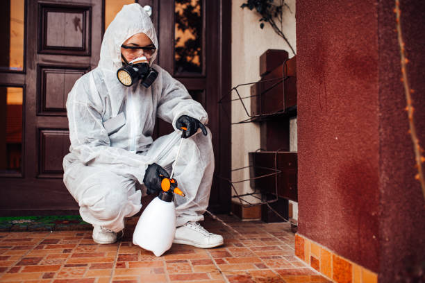 Reliable Termite Control contractor in Ivanhoe, CA by Nex Pest Control